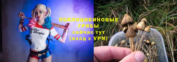 МДПВ Балахна