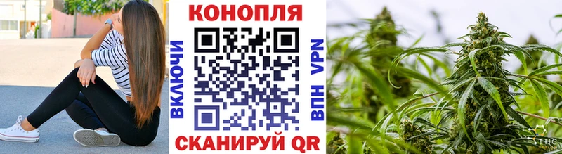 Купить где  Кисловодск  Канабис марихуана 
